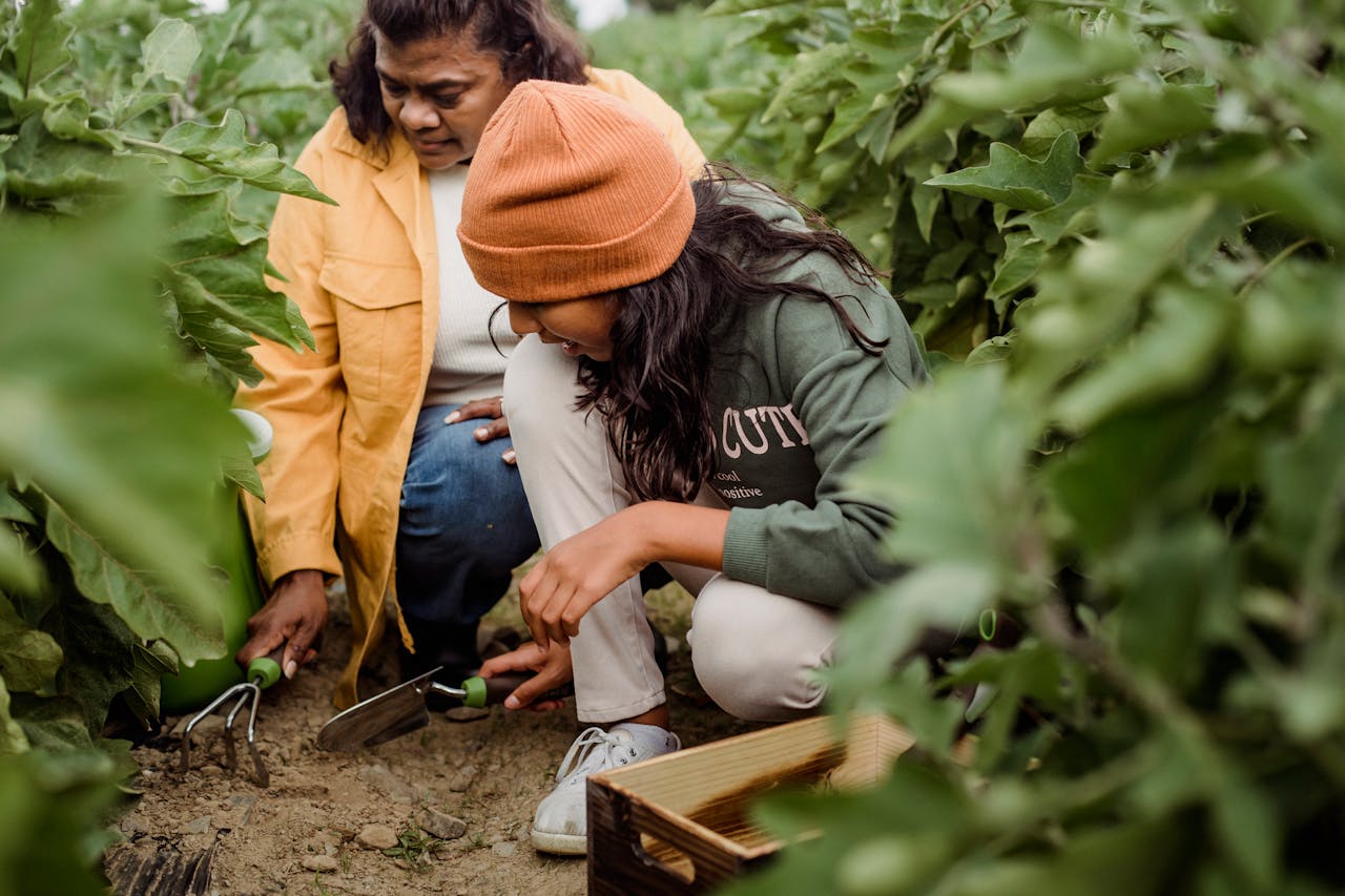 How To Grow Weed At Home Without Equipment