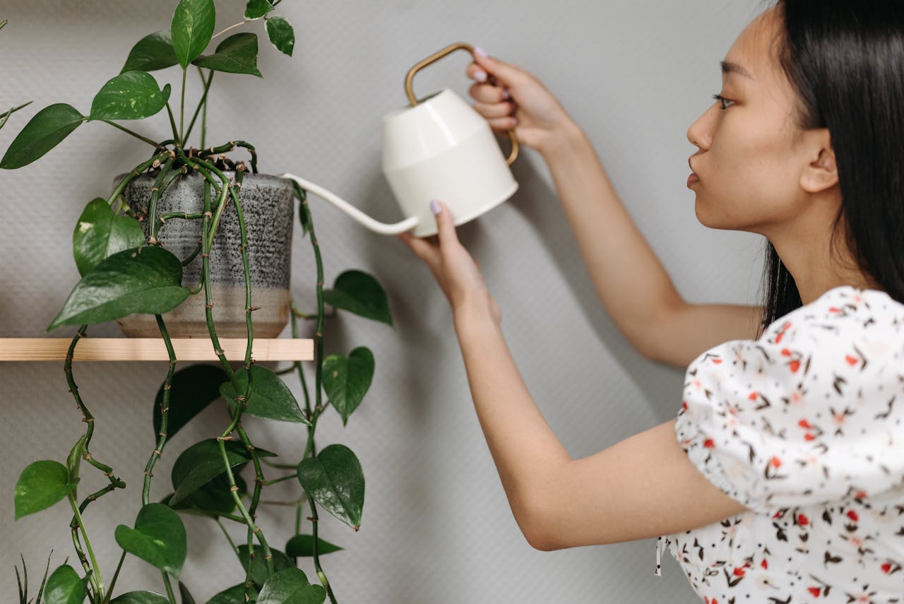 Is Bong Water Good For Plants?